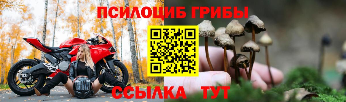 Псилоцибиновые грибы мухоморы  продажа наркотиков  Губкинский  Вход с VPN 